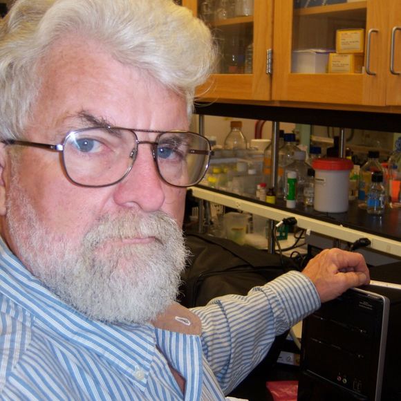 Meet your Posher, Gus - Picture 1 of 1